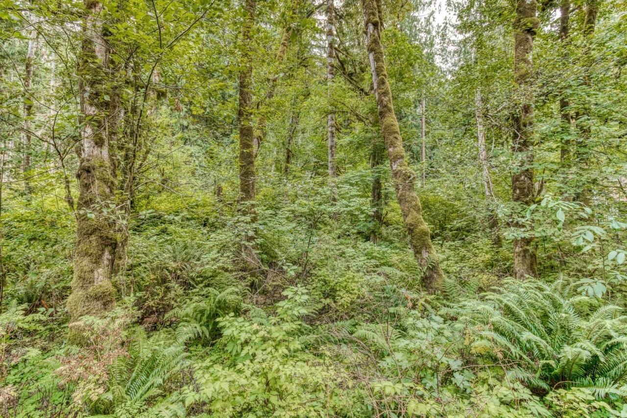 Creekside Cabin Rhododendron Exterior photo